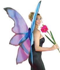 fairy costumes wings