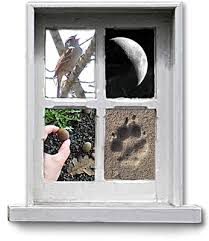 window pane