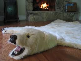 faux bear skin rugs