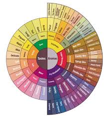 coffee flavor wheel