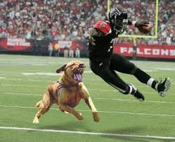 bengals sign