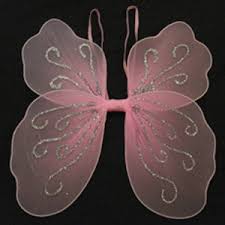 child fairy wings
