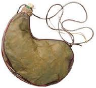 wineskins