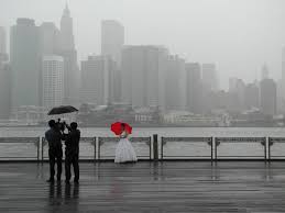 black and white umbrella