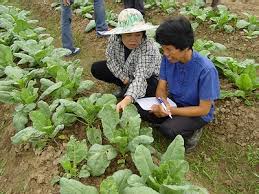 farmers