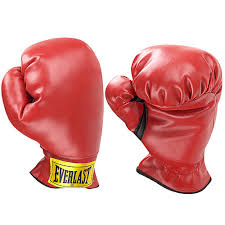 everlast boxing glove
