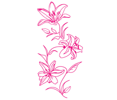 fleur de lysé
