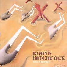 Robyn Hitchcock - I Saw Nick Drake