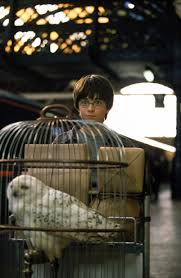 harry potter 1 movie