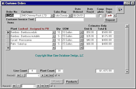access form