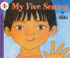 five senses