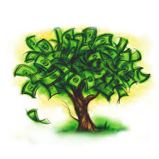 money grow