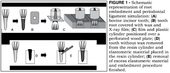 elastomeric material