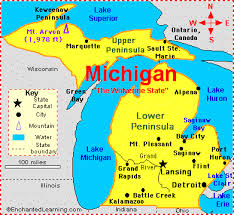 State Abbreviation - MI