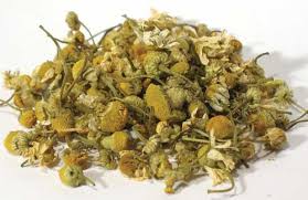 chamomile