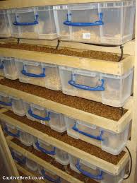 rat rack