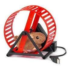 usb hamster wheel