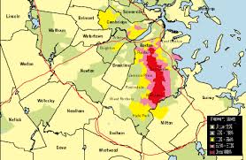 reporting massachusetts medicaid fraud