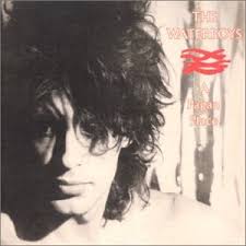 Waterboys - All The Things She Gave Me