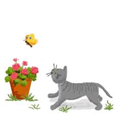 gifs anime