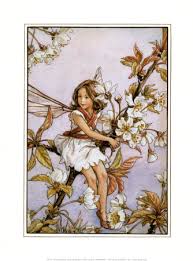 cherry fairy