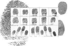 types fingerprints