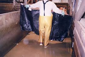 matador capes