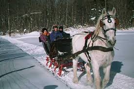 one horse open sleigh