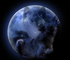 wolf and moon