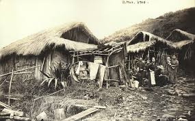 sugar plantation
