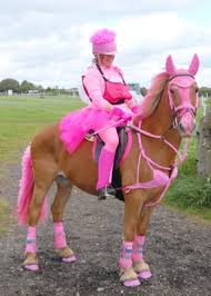 pink horse equipment
