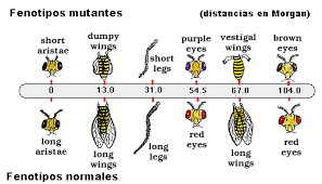 adaptacion biologica