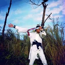 the new one armed swordsman