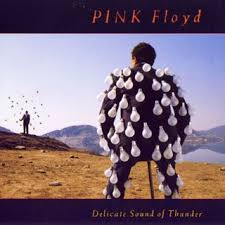 Pink Floyd - Delicate Sound Of Thunder
