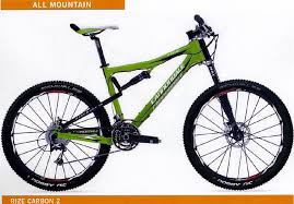 cannondale rize 2