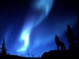 blue moon night