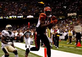 bengals sign