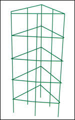 tomato trellis
