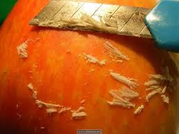 apples wax