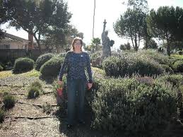 dmv california offices