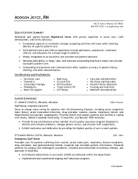 example of a job resume