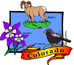 kim swope colorado
