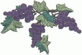 grapevine clipart