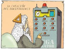 ornitorrinco