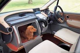 car glove compartment