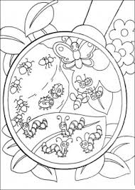 bugs coloring page