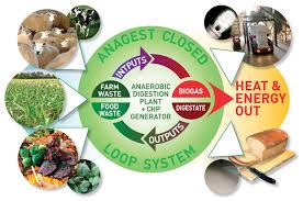 anaerobic digestion system