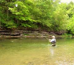 fly fishing trout