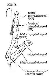 stax finger splints