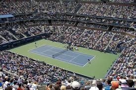 2010 french open tennis